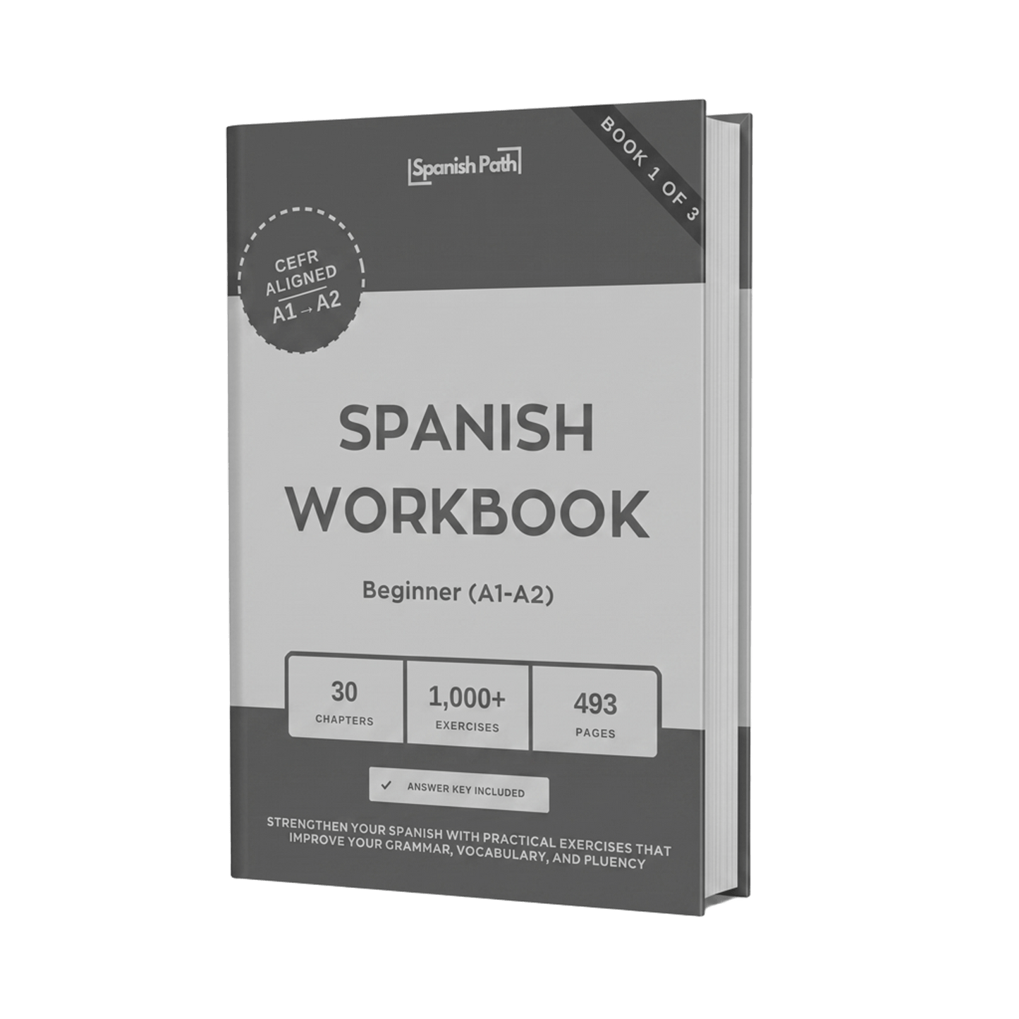 Spanish Workbook — Beginner (A1-A2)